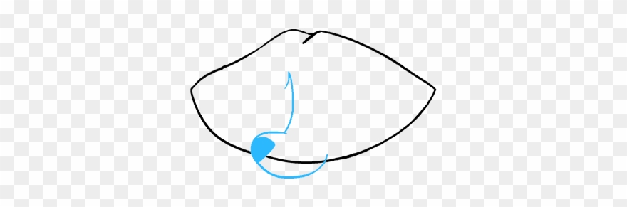 How To Draw Raccoon Clipart