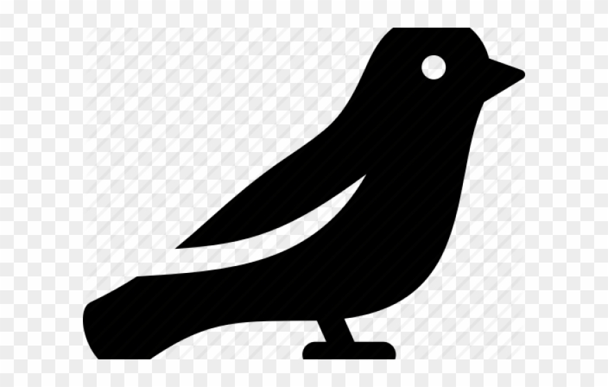 Finch Clipart Sparrow - Perching Bird - Png Download