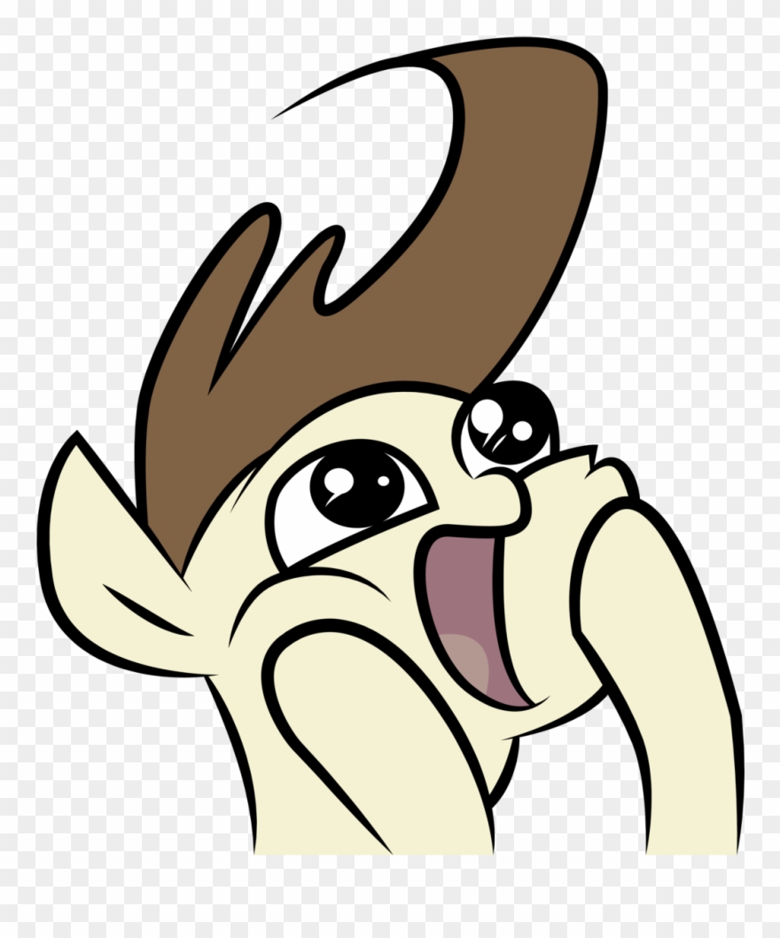 Mammal Vertebrate Nose Dog Like Mammal Head Cartoon - Mammal Clipart