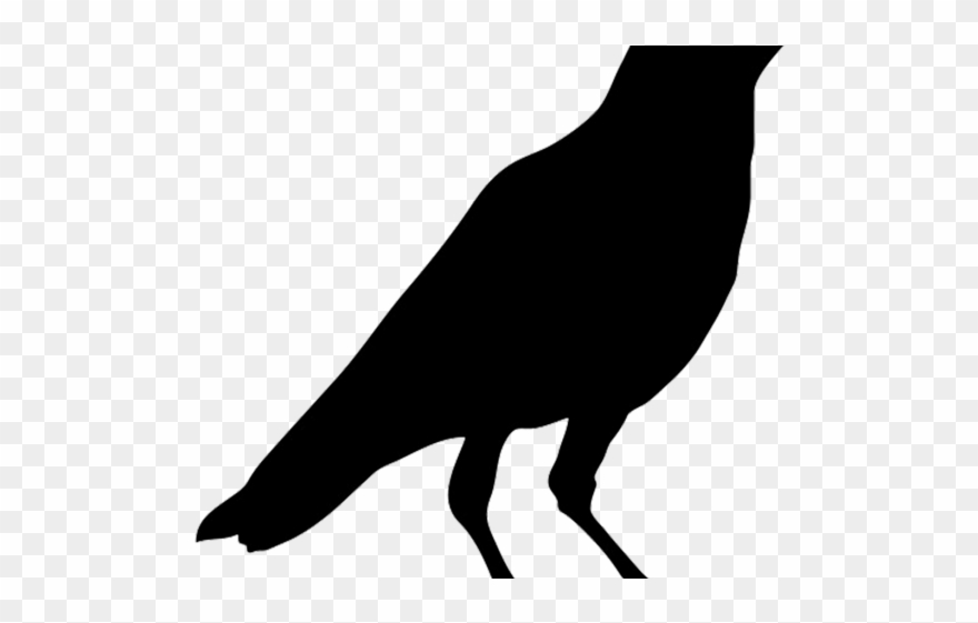 Crow Clipart Crow Head - Black Crow Bird Printable - Png Download