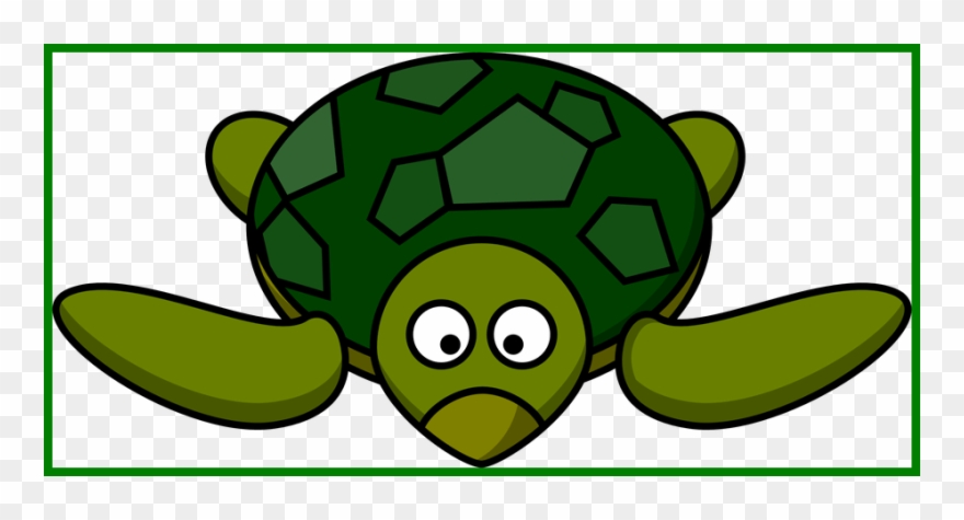 Clip Art Free Stock Amazing Clip Art On Picture For - Cartoon Turtle Png Transparent Png