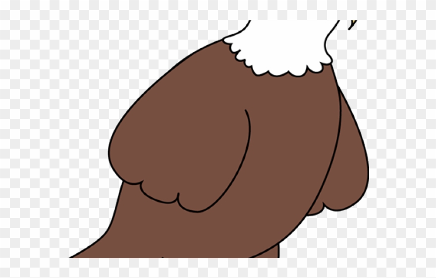 Bald Eagle Clipart Cute - Cartoon - Png Download