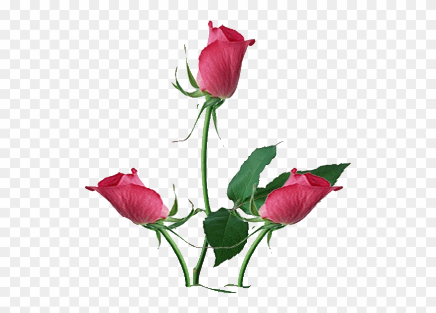 Изображение Для Плейкаста - Lots Of Heart Anniversary Card Clipart