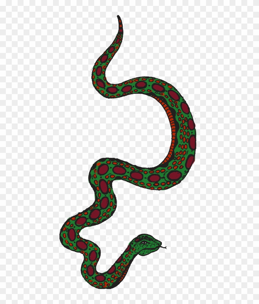 Stage 2 Snakes For Fashion Inawonderworld - Colourful Snake Png Clipart