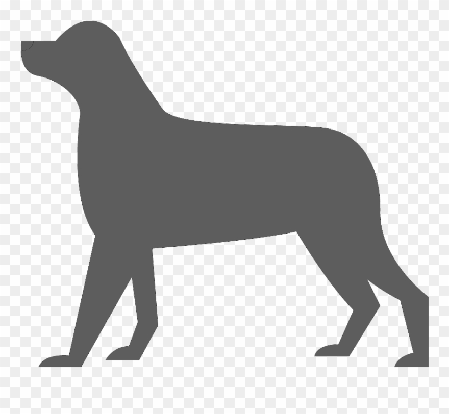 Chien Gris - Perros De Los Dioses Azules Clipart