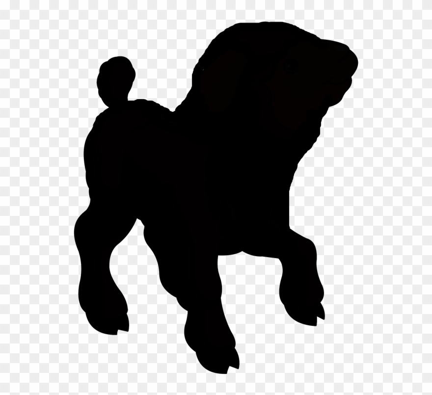 Guess The Object - Dog Licks Clipart