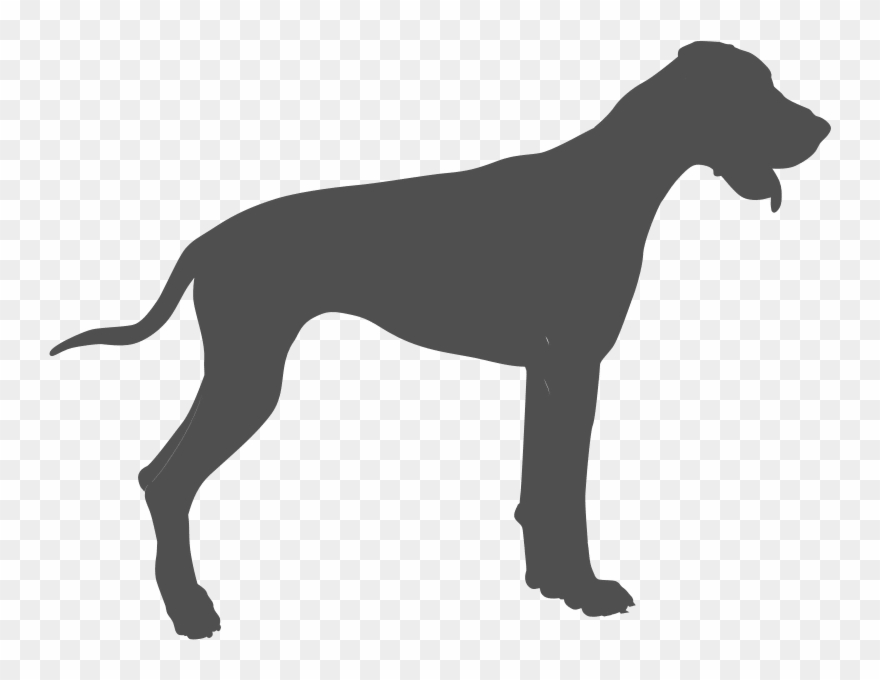 Kennel Club Good Citizen Awards Clipart
