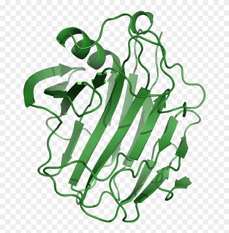 Cellulase: Production, Applications And Health Benefits Clipart