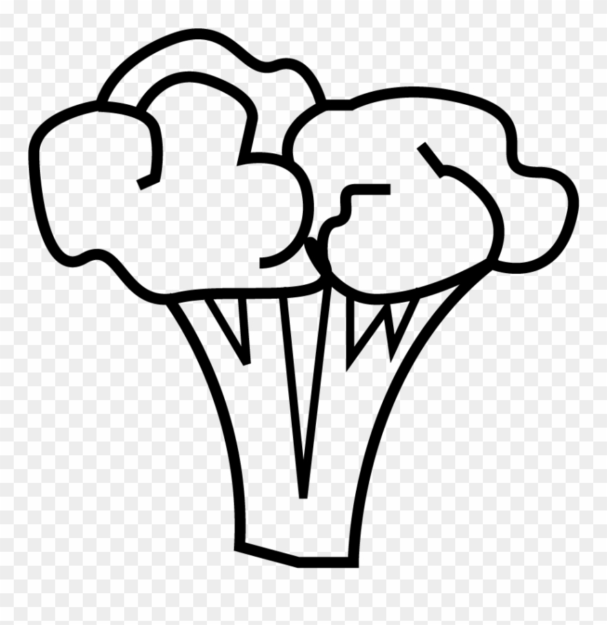 Broccoli - Drawing Clipart