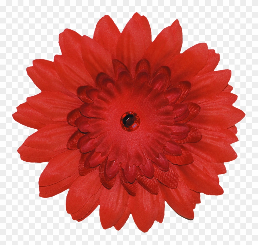 Скрап Набор " Просто Естественно " - Wall Clipart