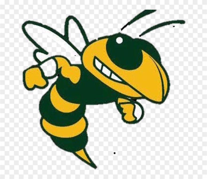 Clipart Library Stock Home Carolyn Park Hornets - Oxnard High School Logo - Png Download