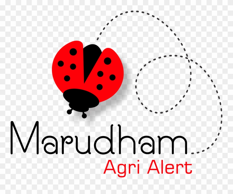 Agriculture Alerts For Farmers And Agri Professionals - Ladybug Clipart