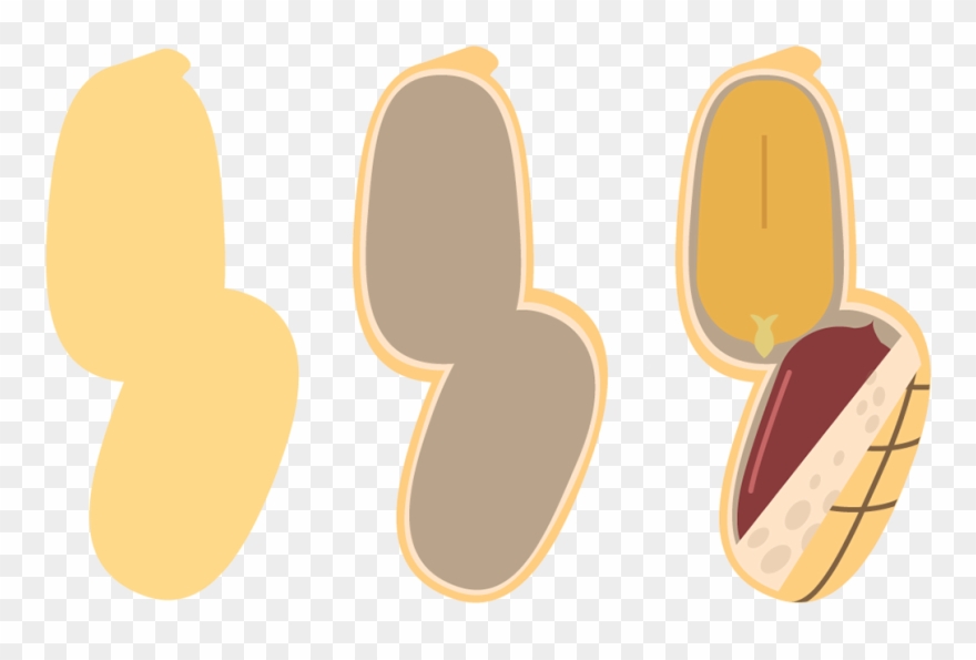 The Three Layers Of The Shell Are Shown Separately Clipart