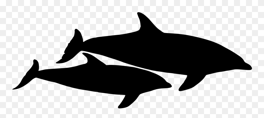 Dolphin Vector Graphic - Dolphins Svg Clipart