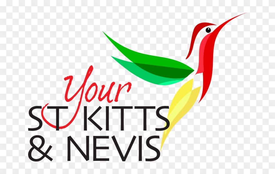 Your St Kitts & Nevis - Piciformes Clipart