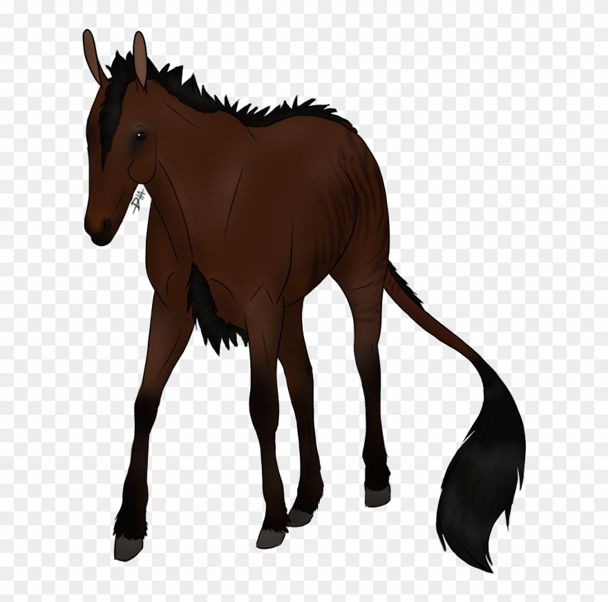 The Old Look In The Eye, Running To Parts Unknown, - Sorrel Clipart