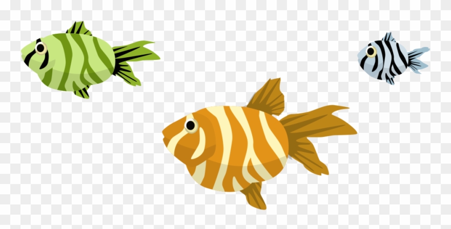Image Description - Coral Reef Fish Clipart