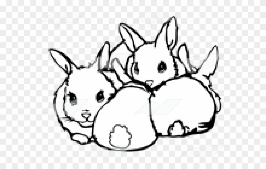 Rabbit Clipart Four - Sketch - Png Download