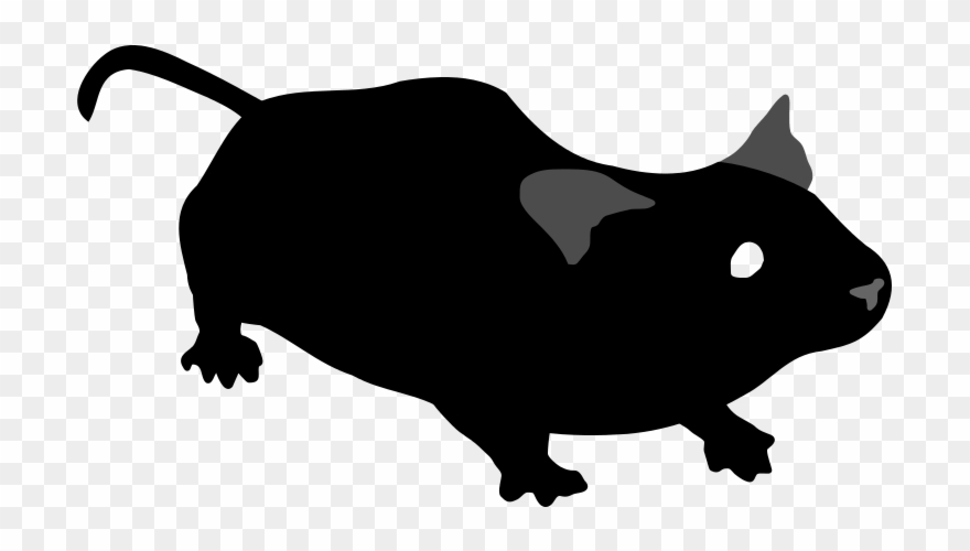 320 × 191 Pixels - Mouse Svg Clipart