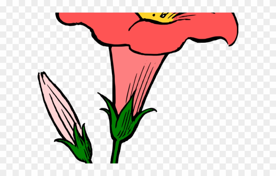 Yellow Flower Clipart Genda - Flower Line Art - Png Download