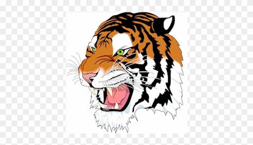 Past Logos - Tiger Images Only Face Clipart