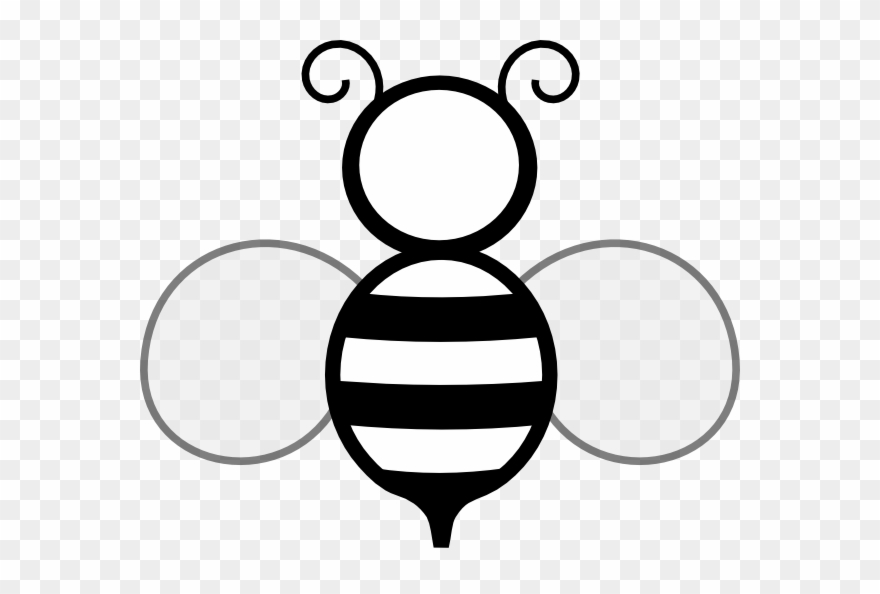 Clip Art Bee Black And White - Png Download