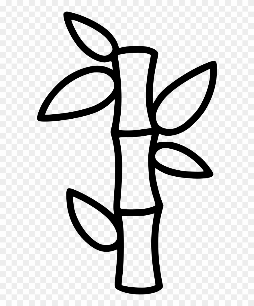 Massage Anticellulite Bamboo Toning Comments Clipart