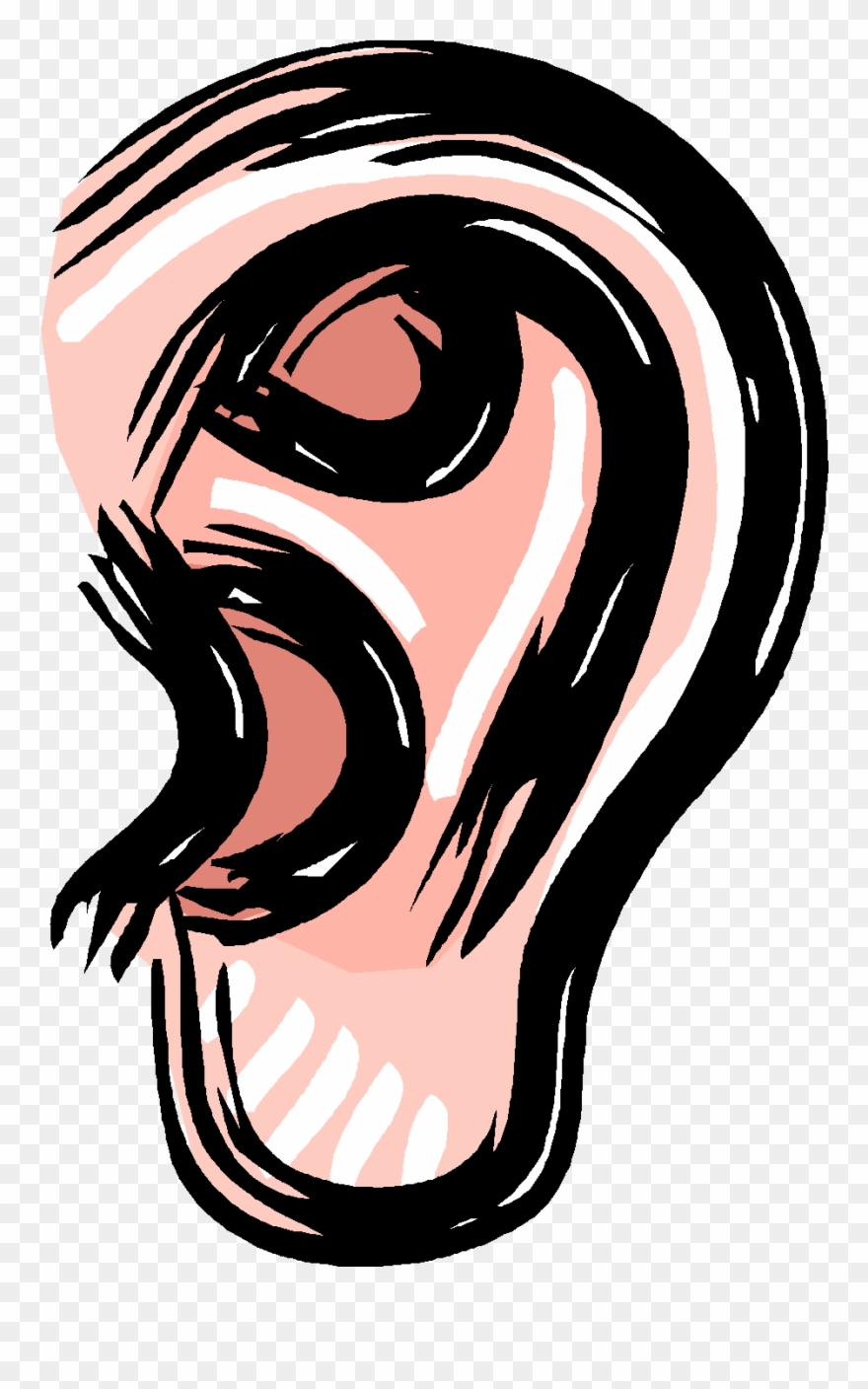 Surrounds The Ends Of Bone To Prevent Bones From Rubbing - Sensory Perception Clipart