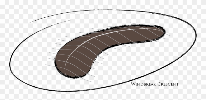 Wind Is A Serious Issue On The Coastal Property, Since Clipart