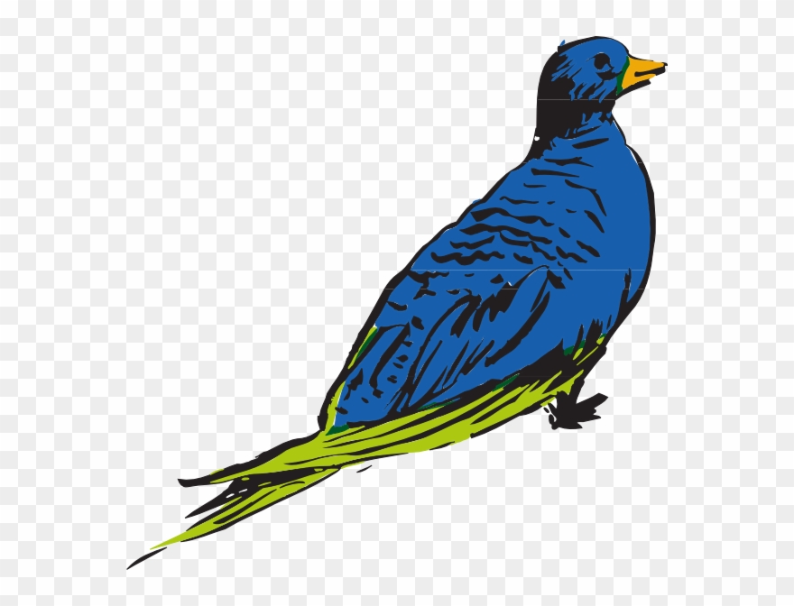 Bird Clipart