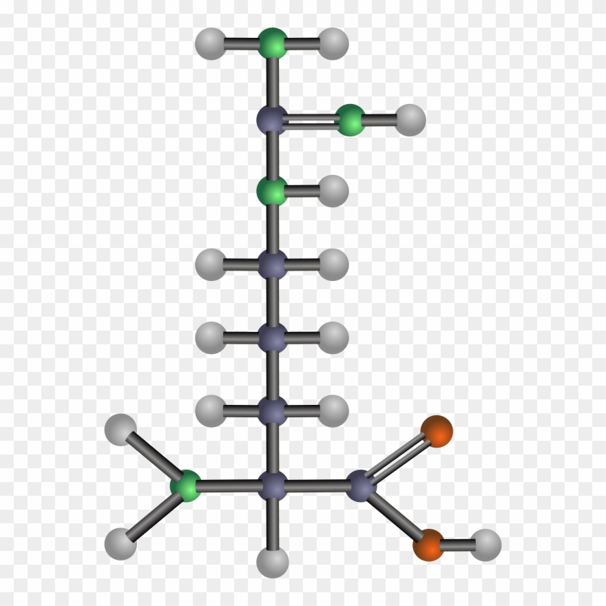 Arginine Amino Acid Aspartic Acid Methionine - Amino Acids Clipart - Png Download