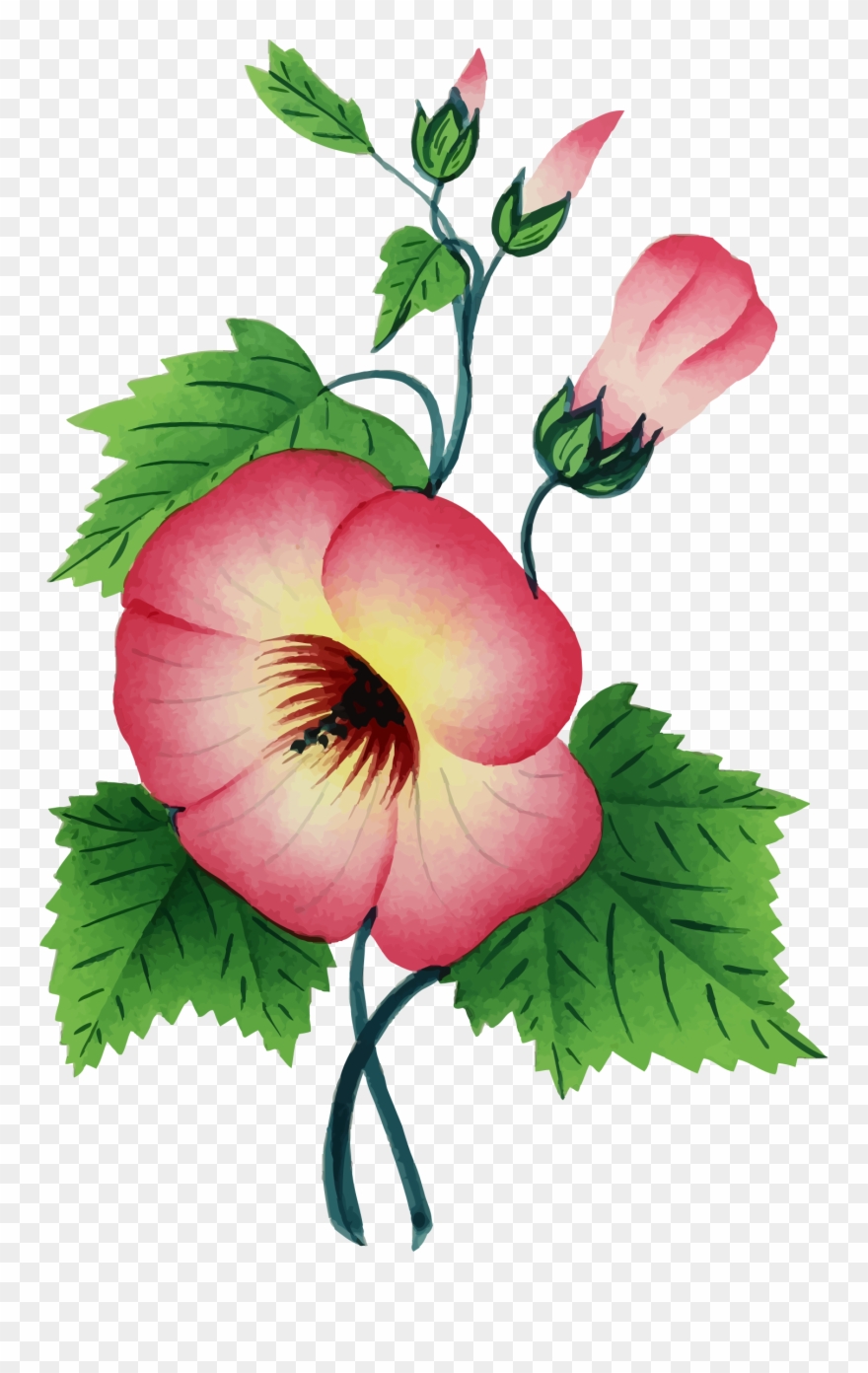 Flower Illustration 3 Graphic Black And White Stock - One Stem Flower Png Clipart