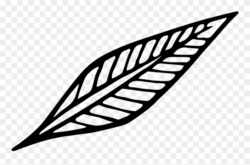 Leaf 2018 Color Angle Tulip - Simple Leaf Clipart Black And White - Png Download