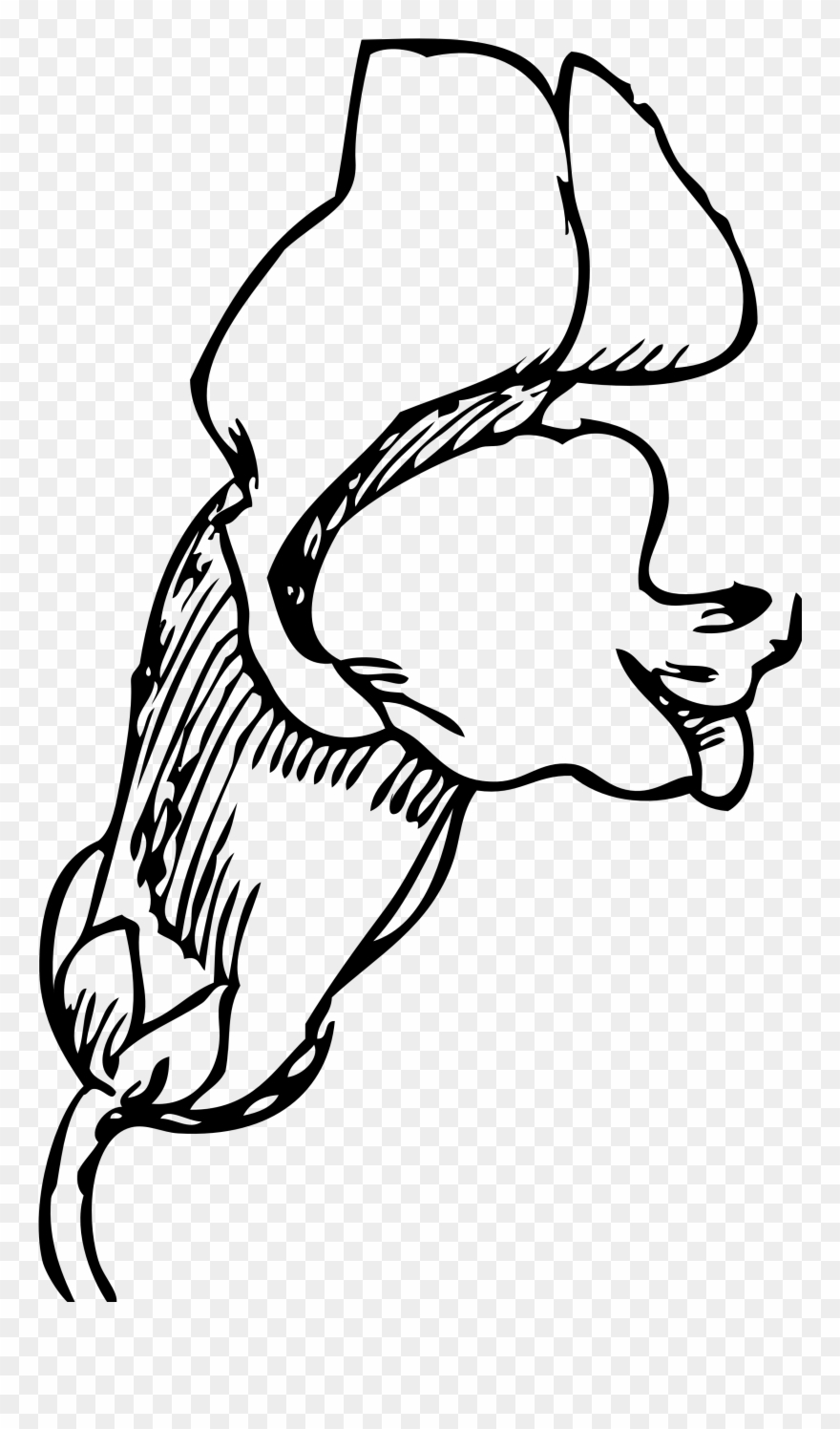 Snapdragon Flower Tattoo - Drawing Of Snapdragon Flower Clipart