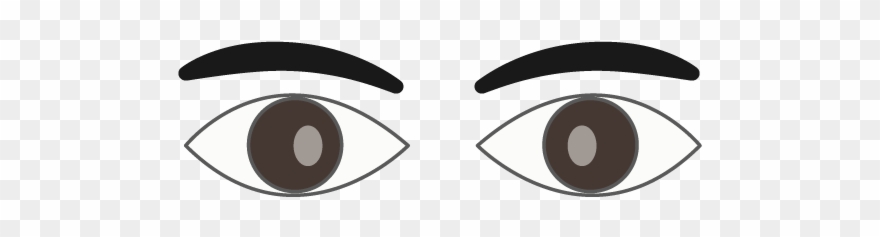 Eyebrows - Free Illustration - Clip Art - Eyelid - Png Download