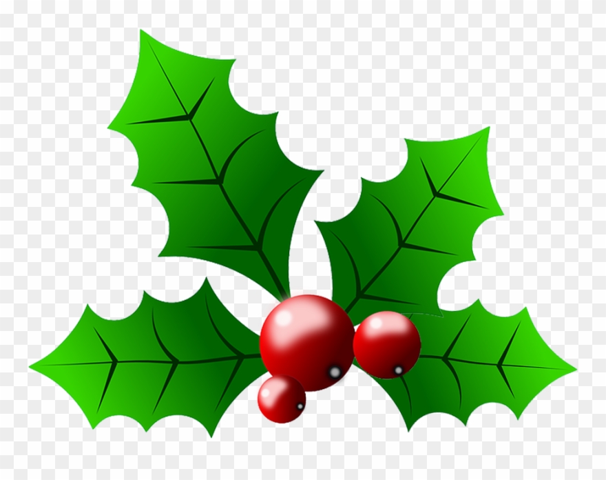 Holly Berries Con Transparrent - Holly Berry No Background Clipart