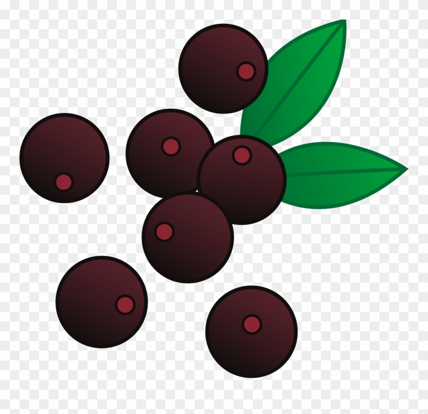 Berry Cliparts - Blueberries Clipart - Png Download