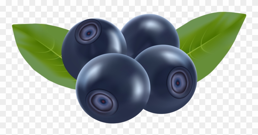 Blueberry Clip Art Transparent Background - Png Download