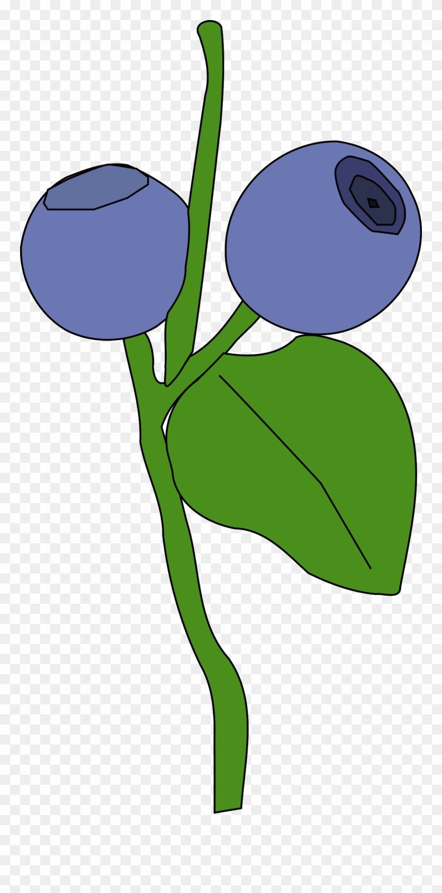 Berry Clip Art - Png Download