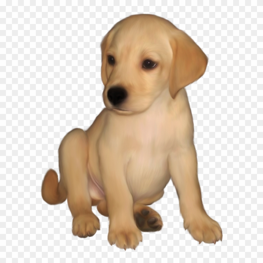 Labrador Retriever Clip Art - Png Image Small Size Transparent Png