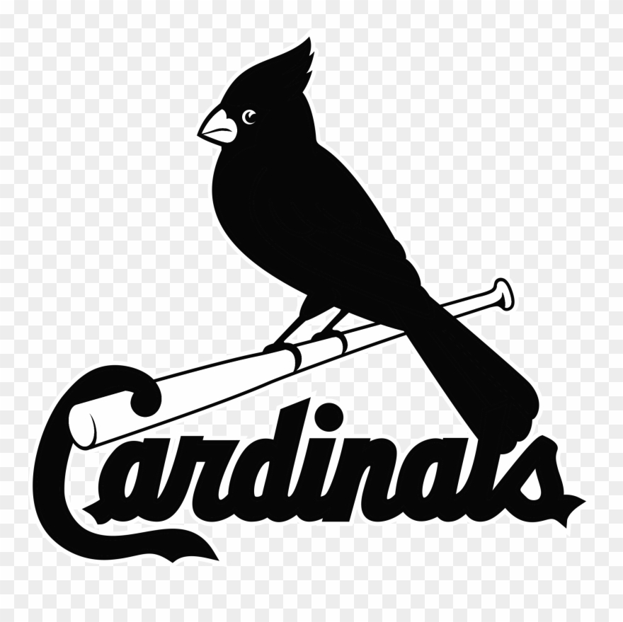 Louis Cardinals Logo Png Transparent Amp Svg Vector - Saint Louis Cardinals Clipart