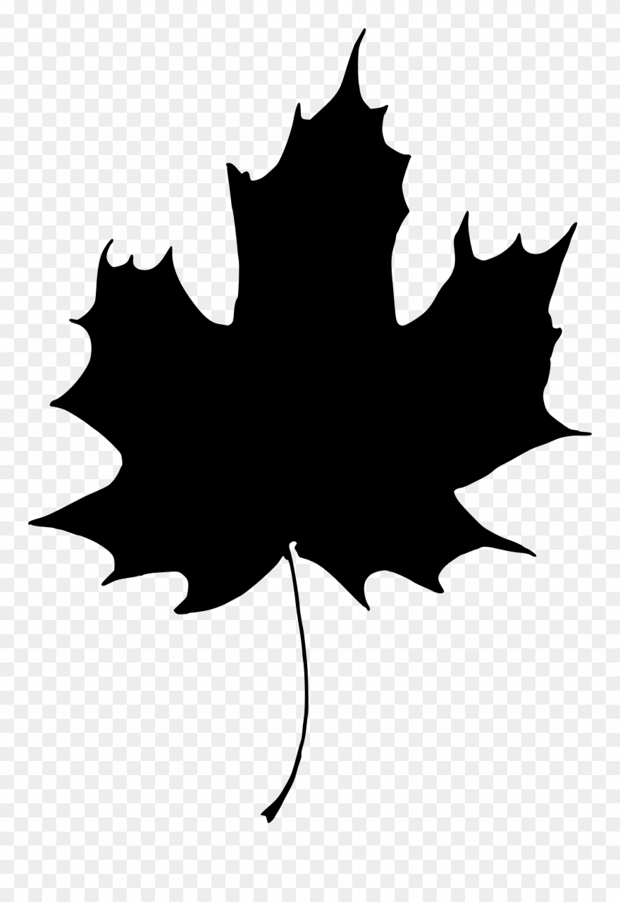 Clip Art Library Stock Berries Drawing Berry Tree - Holly Silhouette Transparent - Png Download