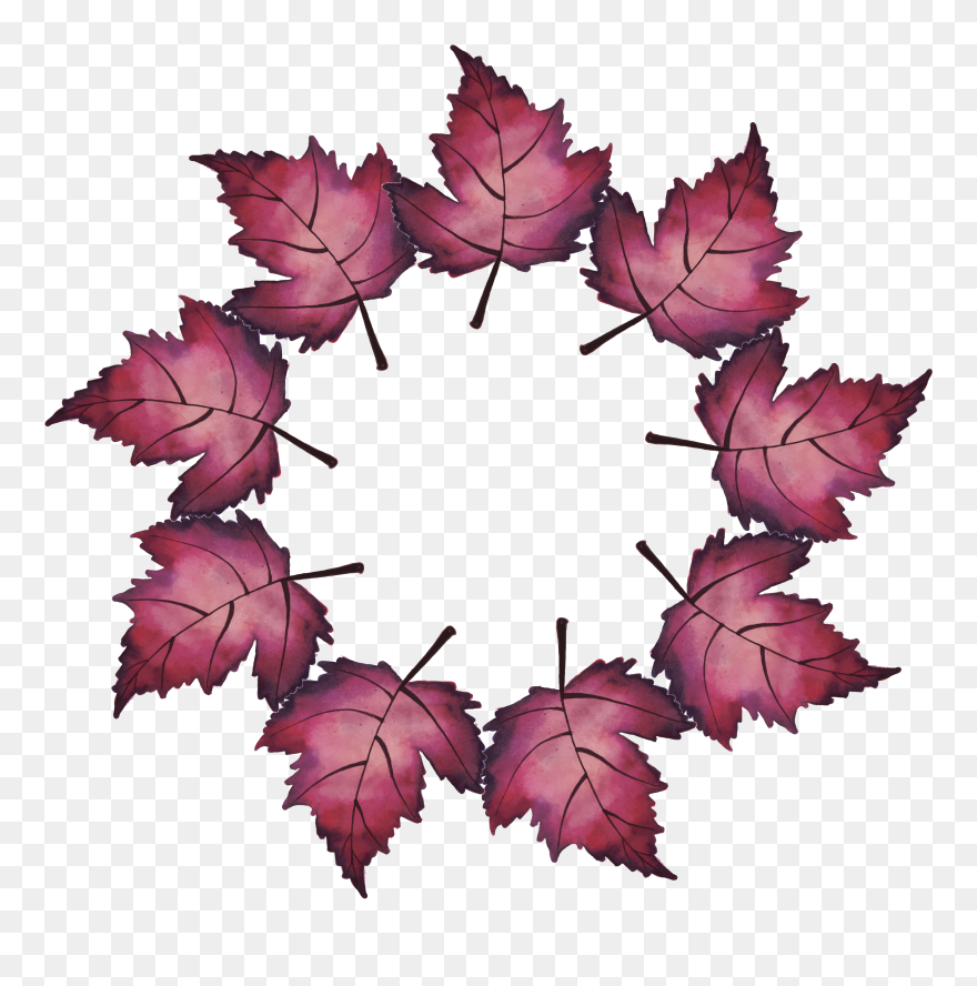 Ftestickers Clipart Wreath Autumn Leaves Fallcolors - Maple Leaf - Png Download