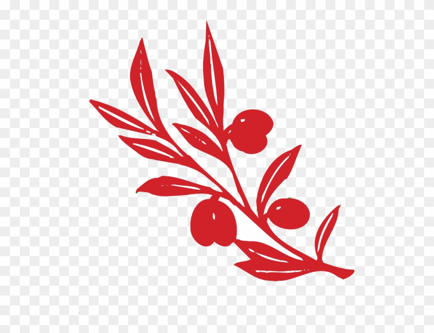 Olive Tree Branch Clipart
