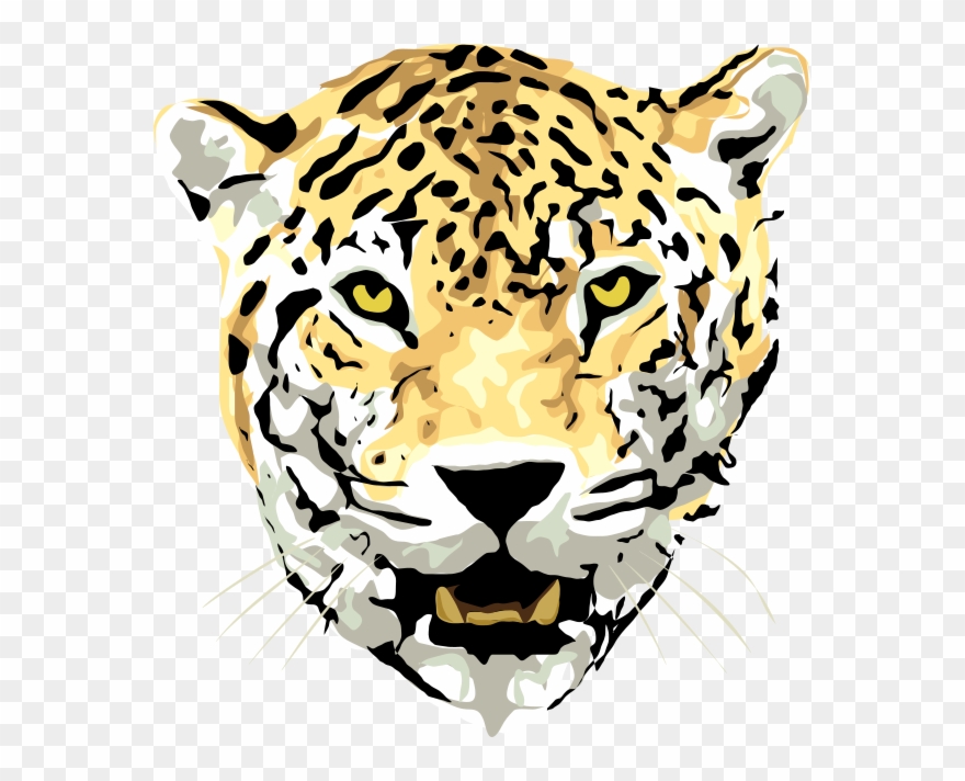 Leopard Head With Empty Background Clipart