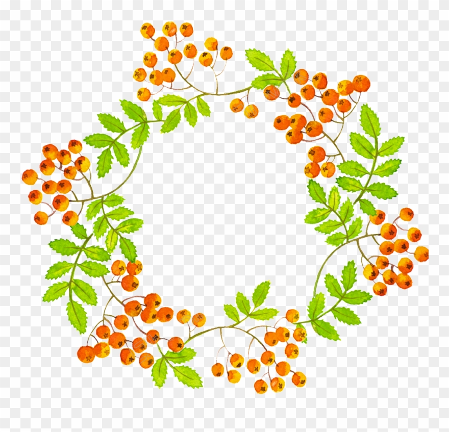 Graphic Transparent Arch Vector Leaf - Leaf Clipart