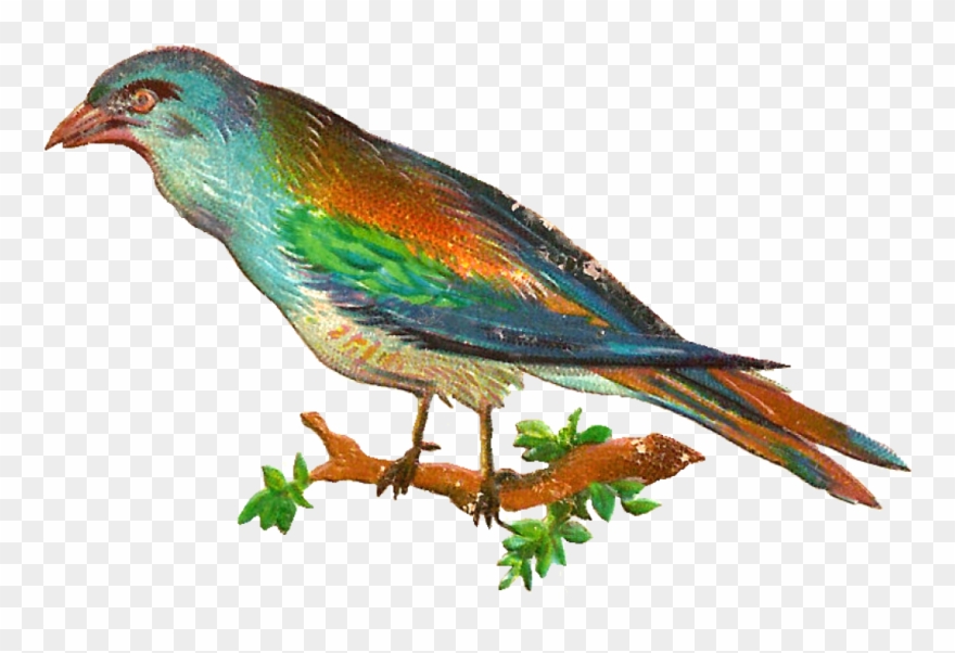 Free Digital Bird Clip Art - Clip Art - Png Download