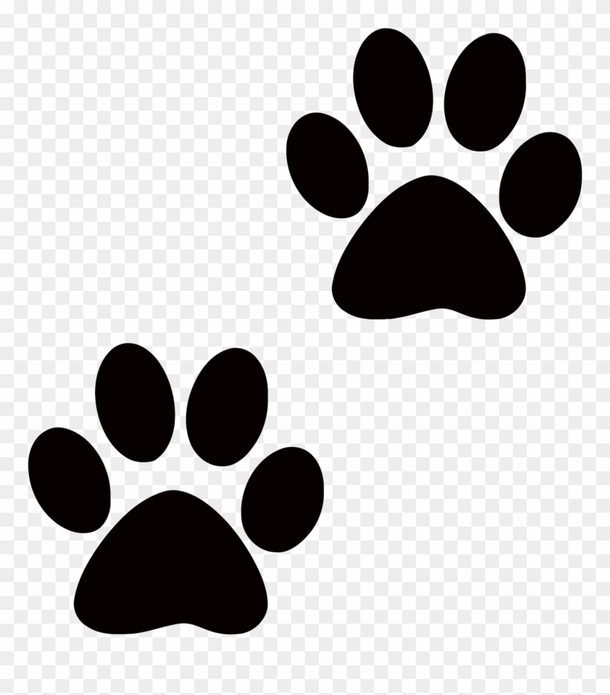 Collection Of Transparent High Quality Free - Dog Paw No Background Clipart