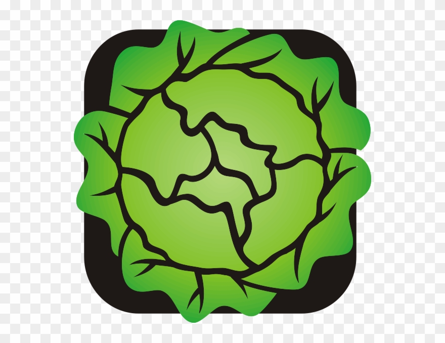 Lettuce Clip Art - Png Download