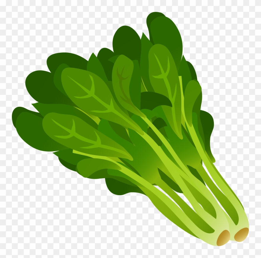 Lettuce Clipart - Png Download